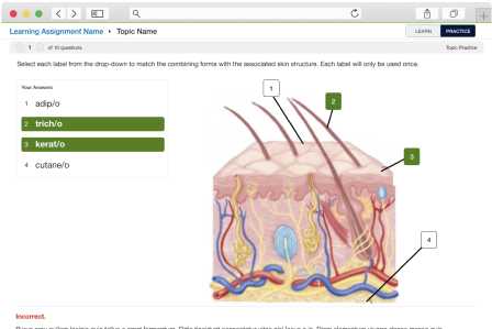 Interactive accessible activities designed for easier user-focused learning.